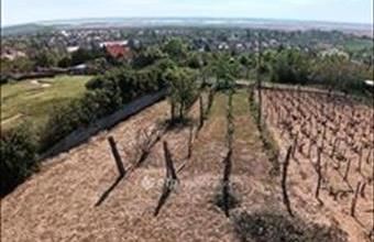 Eladó Pákozdi lakóövezeti telek hirdetés (56837836)