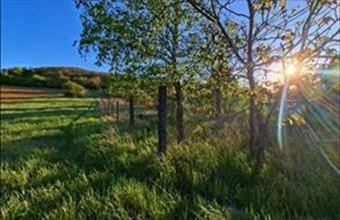 Eladó Esztergomi lakóövezeti telek hirdetés (26895647)