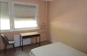 Kiadó Kecskeméti panel lakás hirdetés (24338541)