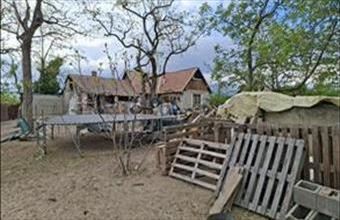 Eladó Délegyházai tanya hirdetés (94572414)