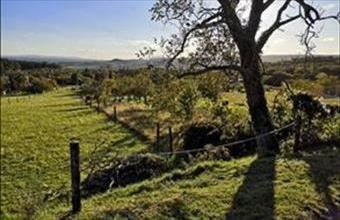 Eladó Soproni külterületi telek hirdetés (78327533)