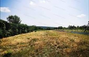 Eladó Soproni külterületi telek hirdetés (77552839)