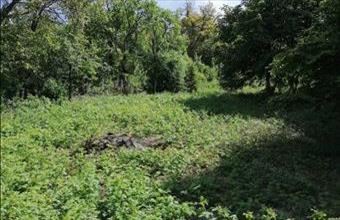 Eladó Ágfalvai egyéb mezőgazdasági ingatlan hirdetés (13755979)