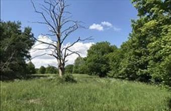 Eladó Soproni lakóövezeti telek hirdetés (43435558)