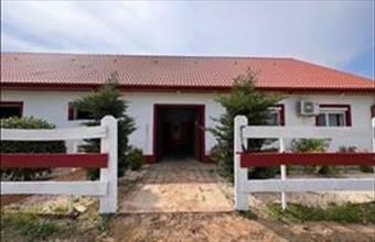 Eladó Nyíregyházai tanya hirdetés (87736521)