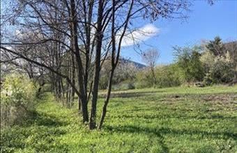 Eladó Pilisszántói külterületi telek hirdetés (55674134)