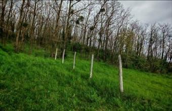 Eladó Kehidakustányi lakóövezeti telek hirdetés (46994639)