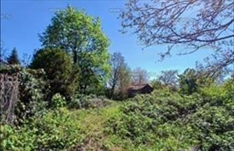 Eladó Szentendrei lakóövezeti telek hirdetés (84632442)