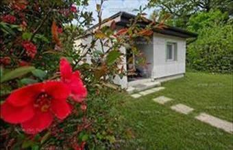 Eladó Szigetmonostori családi ház hirdetés (34126849)