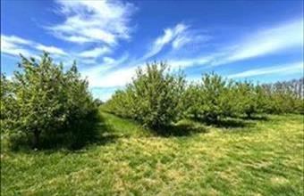 Eladó Siófoki zártkert hirdetés (94292946)