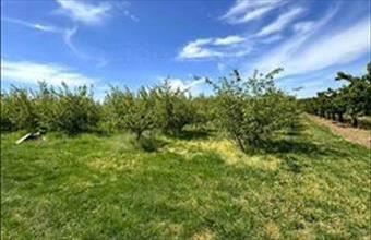 Eladó Siófoki zártkert hirdetés (46435488)