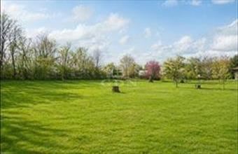 Eladó Sárszentmihályi lakóövezeti telek hirdetés (41798338)