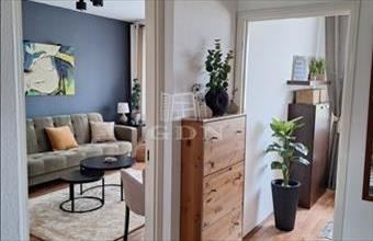 Kiadó Komáromi panel lakás hirdetés (66236797)