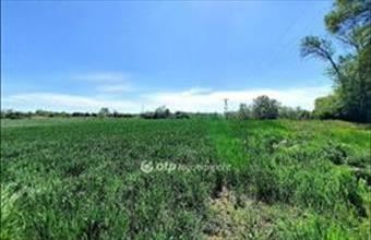 Eladó Kiskunfélegyházai külterületi telek hirdetés (37499264)