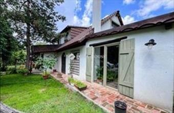 Eladó Dabasi tanya hirdetés (94437985)