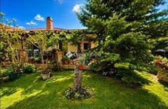 Eladó Dunakeszi családi ház hirdetés (11324847)