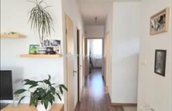 Eladó Nagytarcsai ikerház hirdetés (46782344)