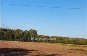 Eladó Ópusztaszeri egyéb mezőgazdasági ingatlan hirdetés (33743535)