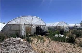 Eladó Szentesi termőföld, szántó hirdetés (93799572)