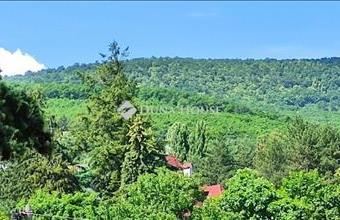 Eladó Leányfalui házrész hirdetés (99475456)