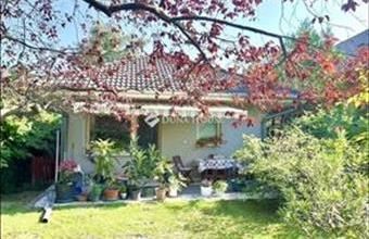 Eladó Szigetszentmiklósi családi ház hirdetés (73545376)