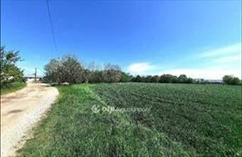 Eladó Kiskunfélegyházai külterületi telek hirdetés (69234792)