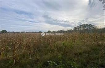 Eladó Szilsárkányi lakóövezeti telek hirdetés (65484549)