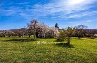 Eladó Várvölgyi külterületi telek hirdetés (59252944)