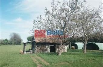 Eladó Gárdonyi egyéb telek hirdetés (73485312)