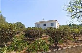 Eladó Spanyolországi tanya hirdetés (57733735)