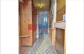 Kiadó Budapest XIV. kerületi tégla lakás hirdetés (59452469)