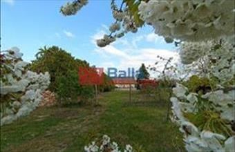 Eladó Budapest XVII. kerületi családi ház hirdetés (43453893)