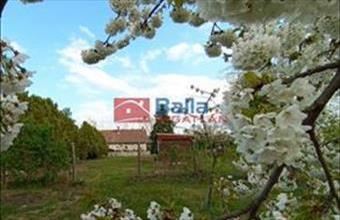 Eladó Budapest XVII. kerületi egyéb telek hirdetés (82827977)