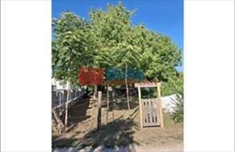 Eladó Budapest XVI. kerületi egyéb telek hirdetés (21776344)