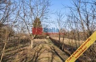 Eladó Budapest XVI. kerületi egyéb telek hirdetés (34267487)