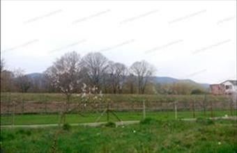 Eladó Tahitótfalui lakóövezeti telek hirdetés (59455394)