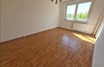 Kiadó Oroszlányi panel lakás hirdetés (72942954)