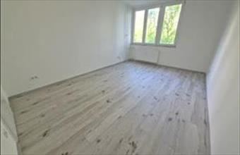 Kiadó Oroszlányi tégla lakás hirdetés (14693267)