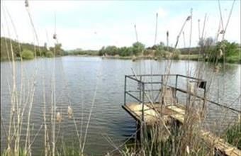 Eladó Szőkédi egyéb mezőgazdasági ingatlan hirdetés (84853348)