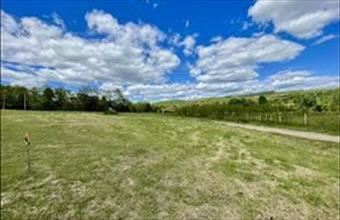 Eladó Domonyi egyéb mezőgazdasági ingatlan hirdetés (93388944)