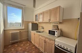 Kiadó Székesfehérvári tégla lakás hirdetés (24892549)