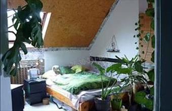 Eladó Szegedi ikerház hirdetés (57866947)