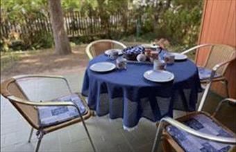 Kiadó Siófoki családi ház hirdetés (29346297)