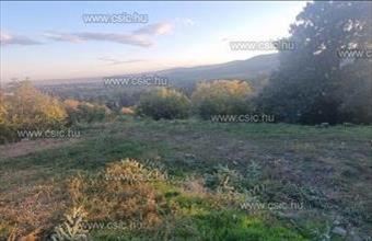 Eladó Szentendrei ipari telek hirdetés (67949944)