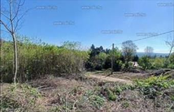 Eladó Szentendrei üdülőövezeti telek hirdetés (71287434)