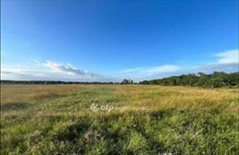 Eladó Hortobágyi lakóövezeti telek hirdetés (87915353)