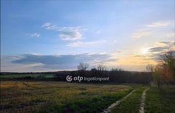 Eladó Galgahévízi lakóövezeti telek hirdetés (37377256)