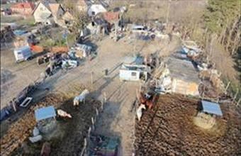 Eladó Délegyházai külterületi telek hirdetés (67697694)