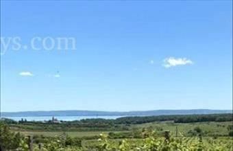 Eladó Zánkai termőföld, szántó hirdetés (96636475)