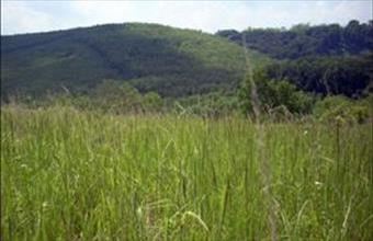 Eladó Kehidakustányi egyéb mezőgazdasági ingatlan hirdetés (88948674)